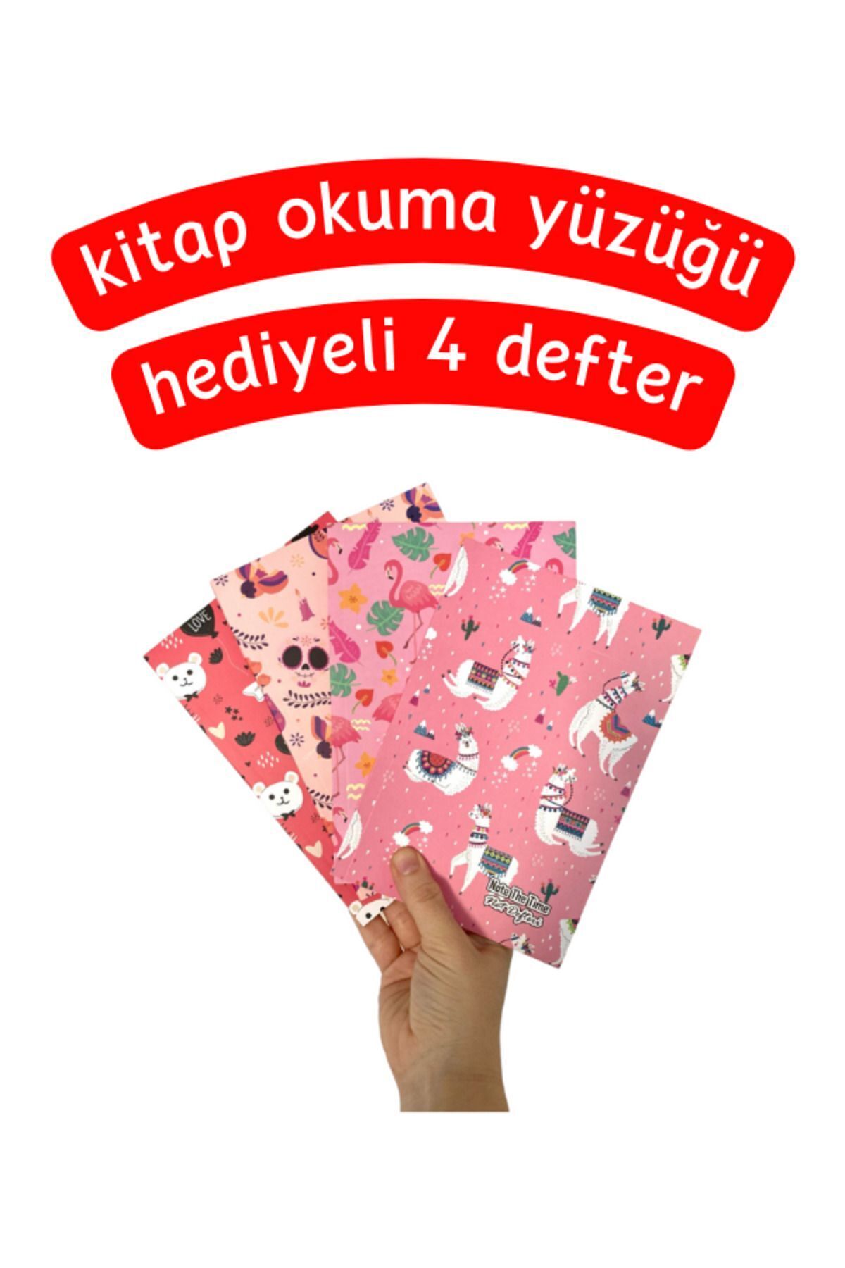 Pembe Renk Figürlü 4'lü Defter Seti (4 Renk)
